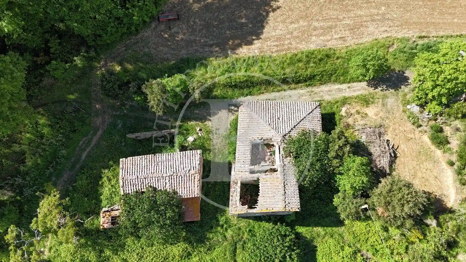 Rustico - Casale - foto 3