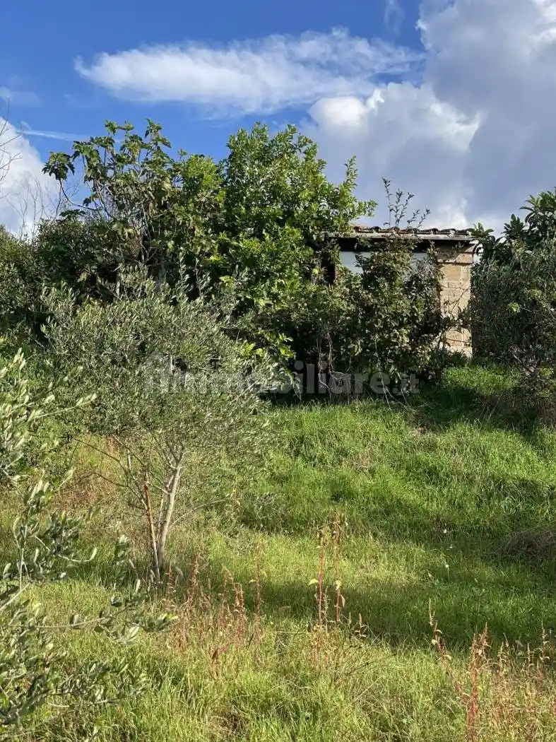 Rustico - Casale in vendita a Tuscania