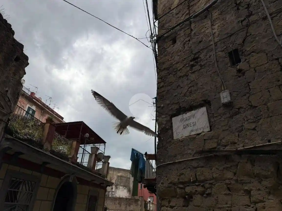 Appartamento in vendita a Napoli