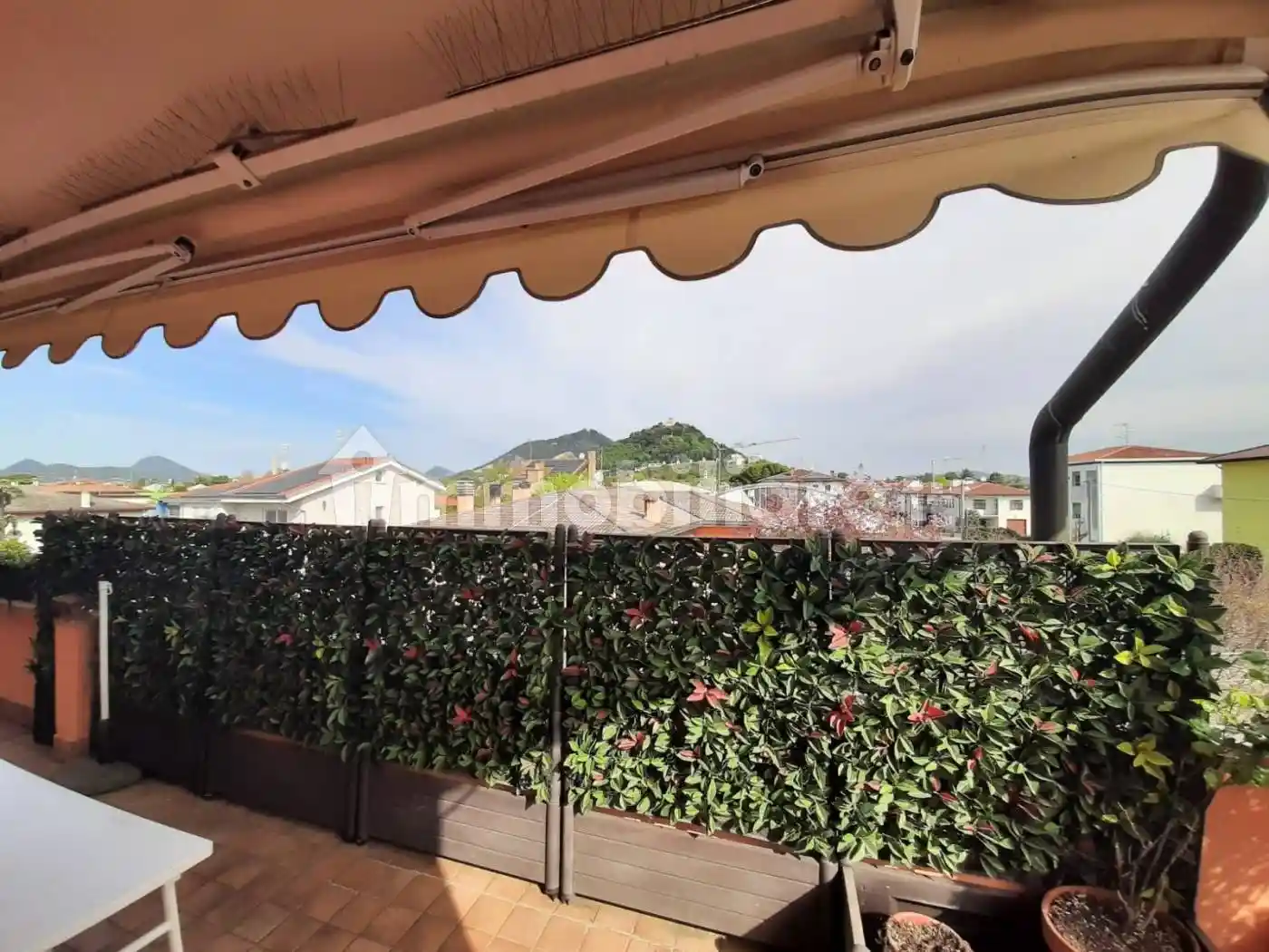 Appartamento in vendita a Monselice