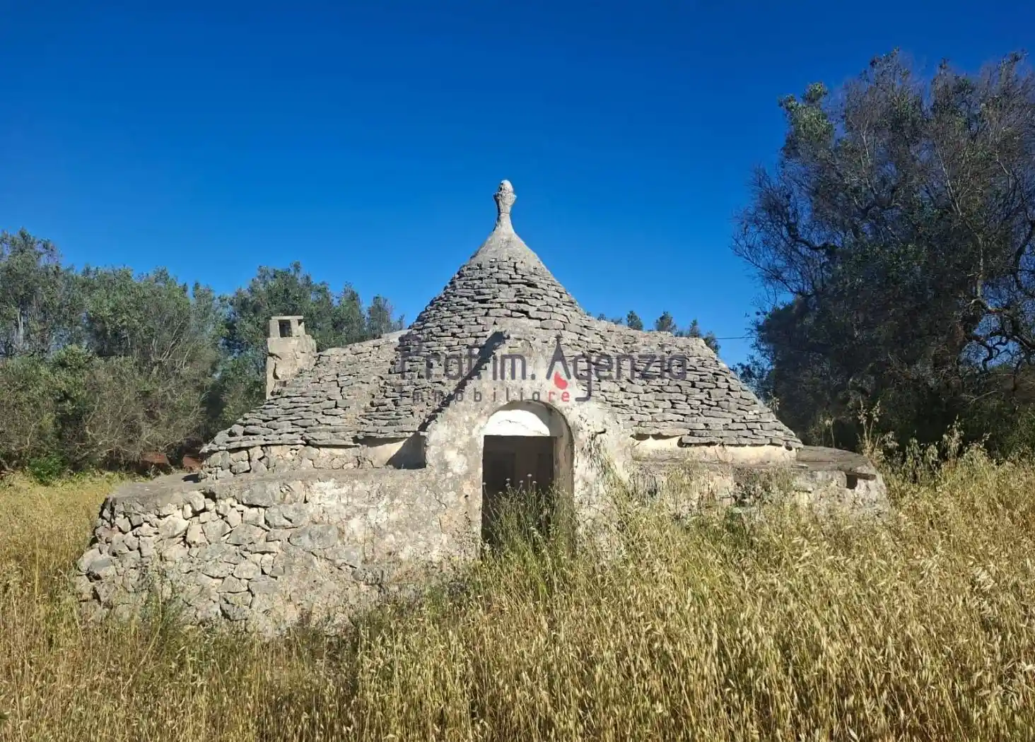 Rustico - Casale in vendita a San Vito dei Normanni