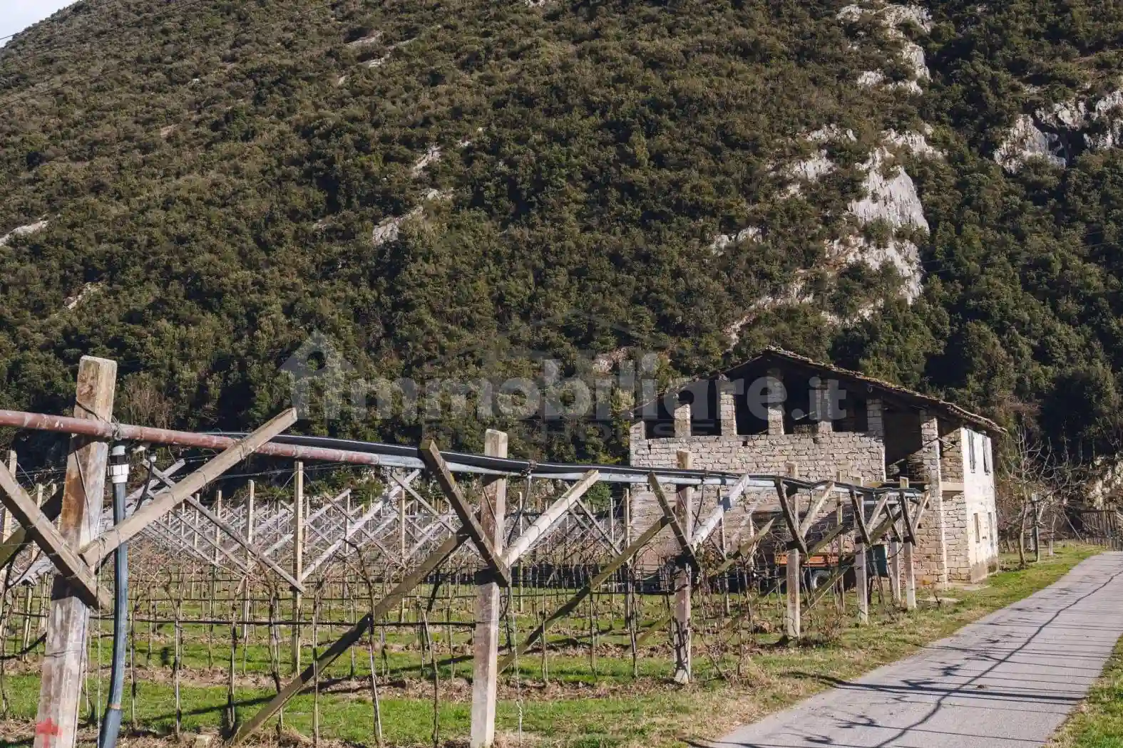 Rustico - Casale - foto 5