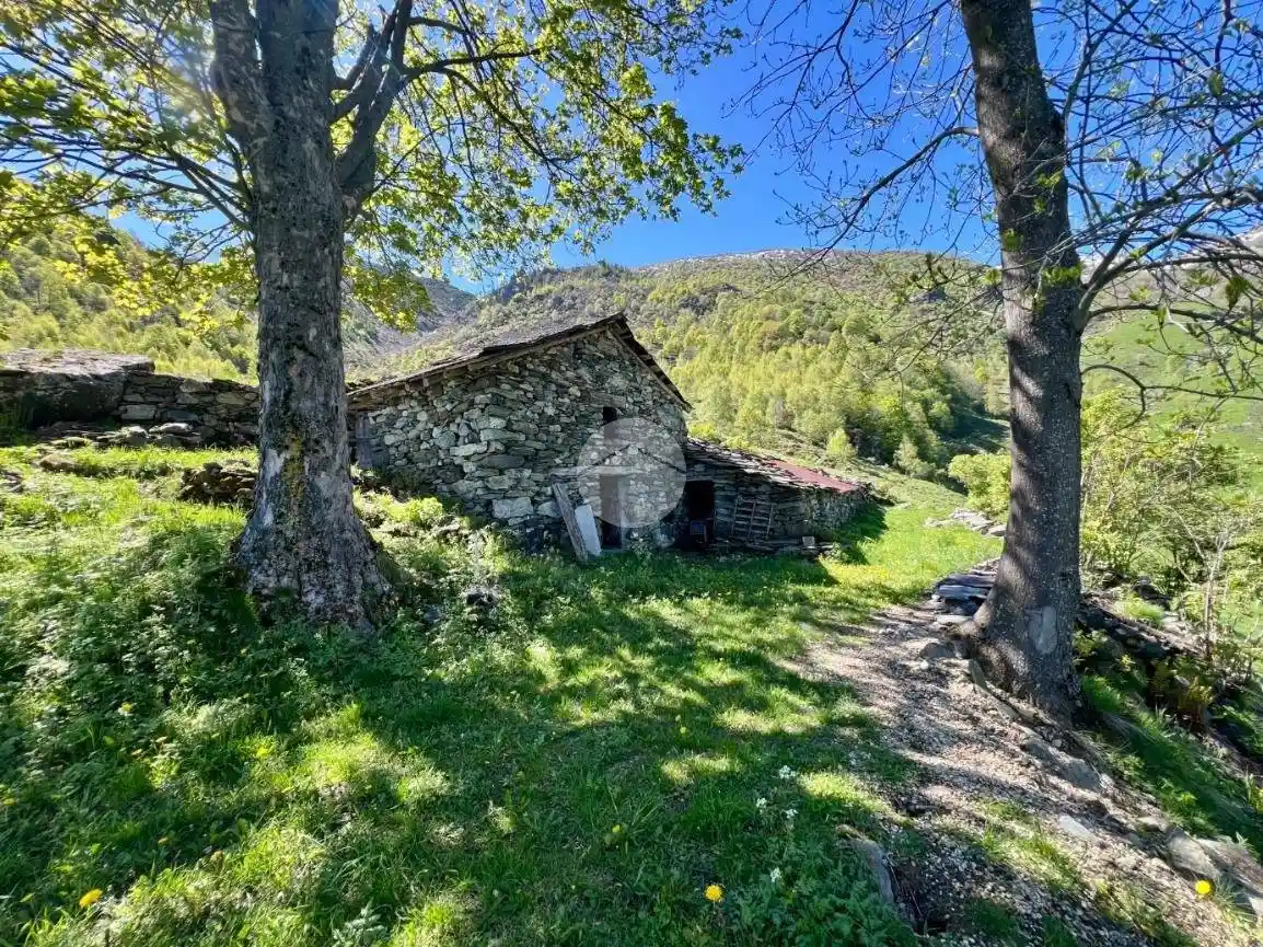 Rustico - Casale in vendita a Lemie