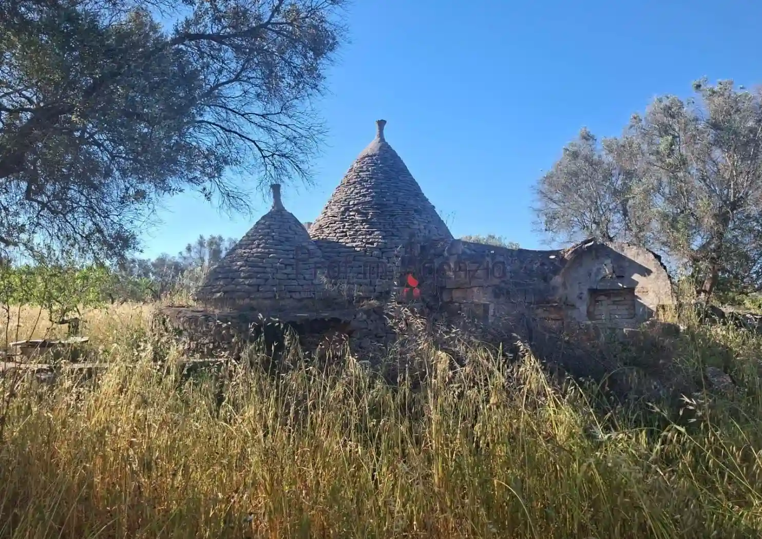 Rustico - Casale - foto 4