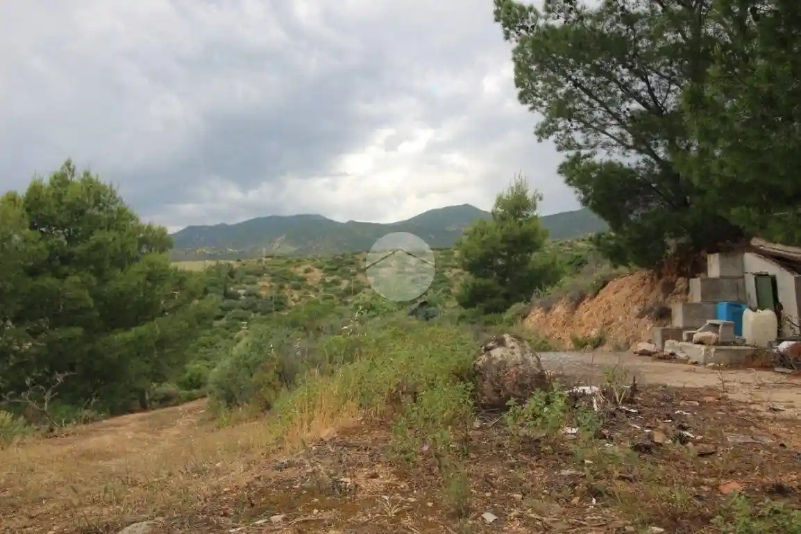 Rustico - Casale in vendita a Sinnai