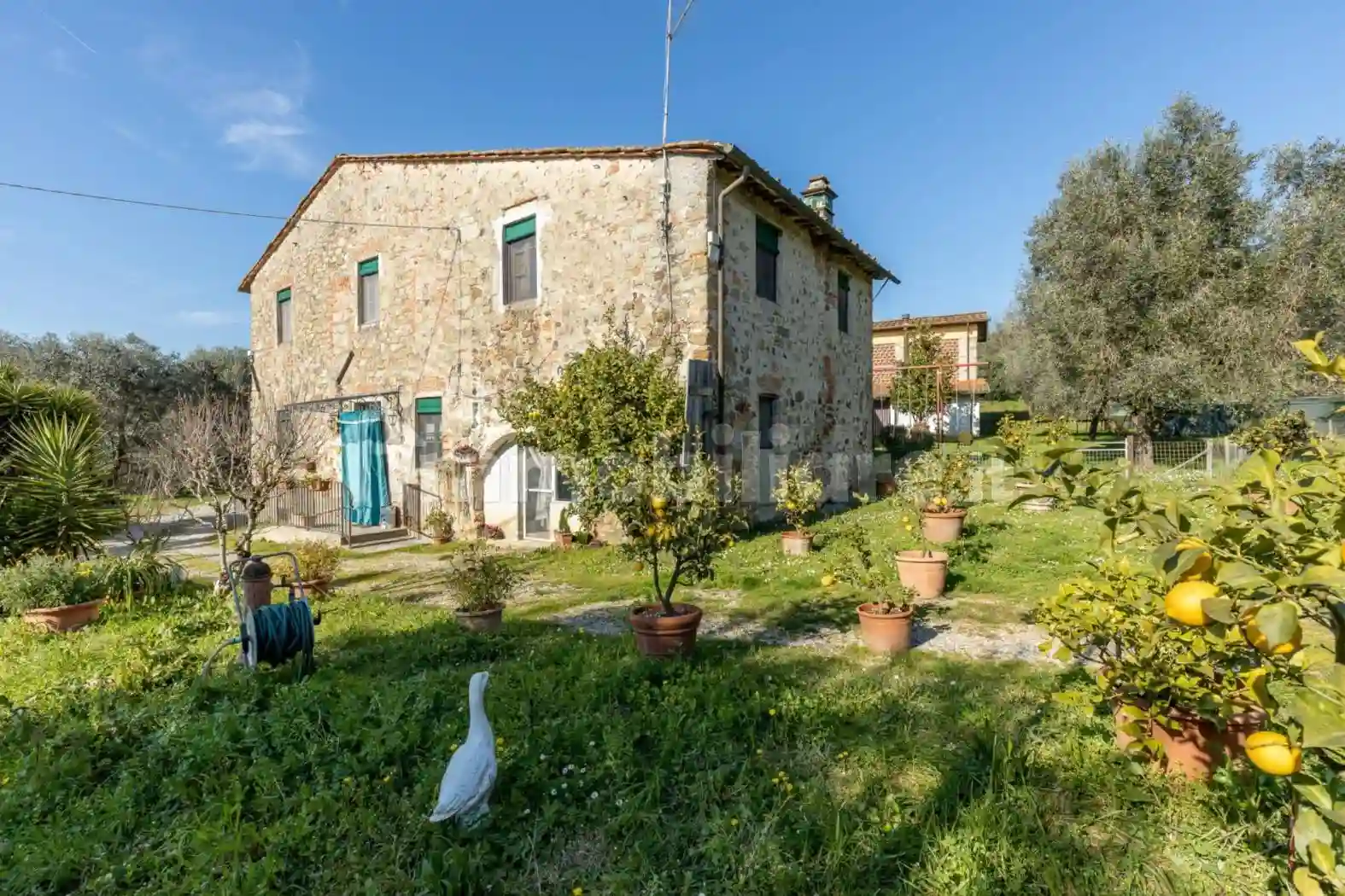 Rustico - Casale - foto 5