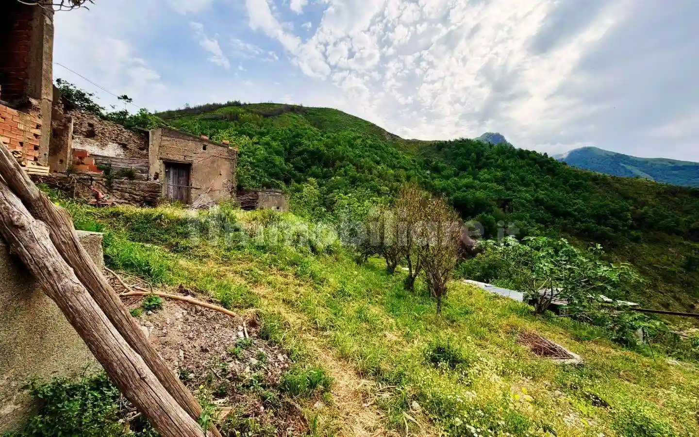 Rustico - Casale - foto 5
