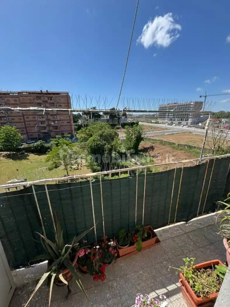 Appartamento in affitto a Roma