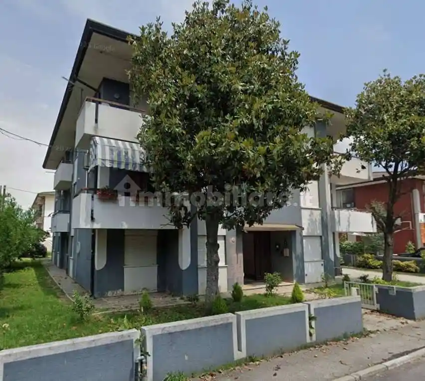 Appartamento in vendita a Trebaseleghe