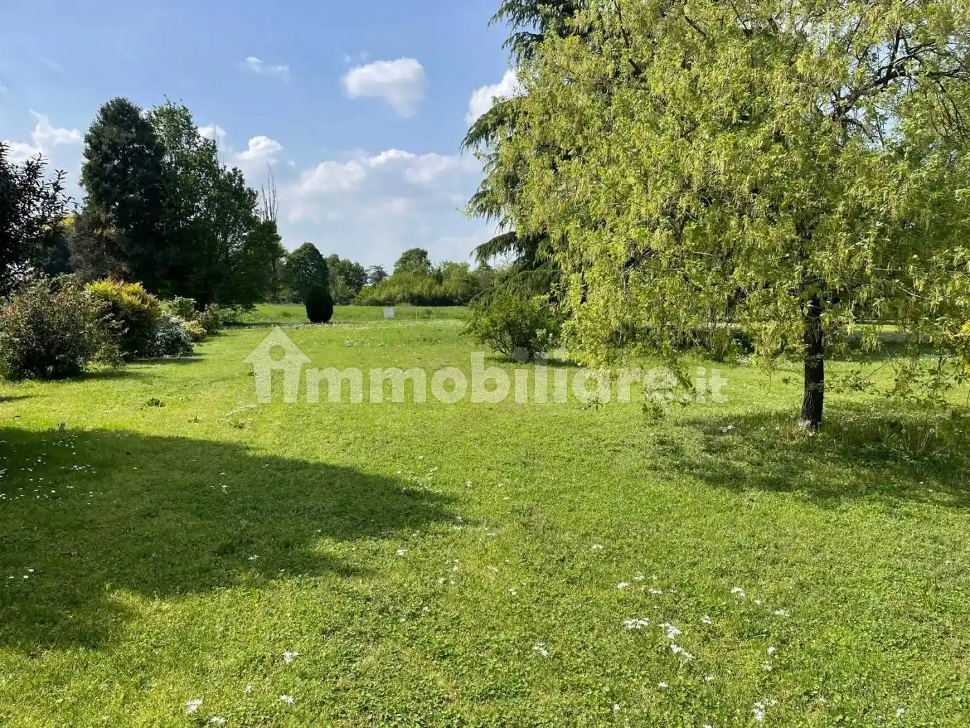 Villa in vendita a Trecenta