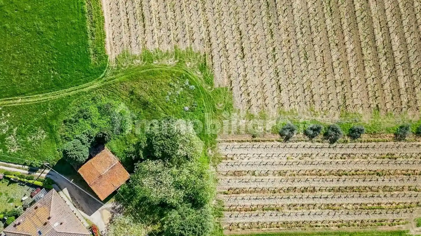 Rustico - Casale in vendita a Vinci