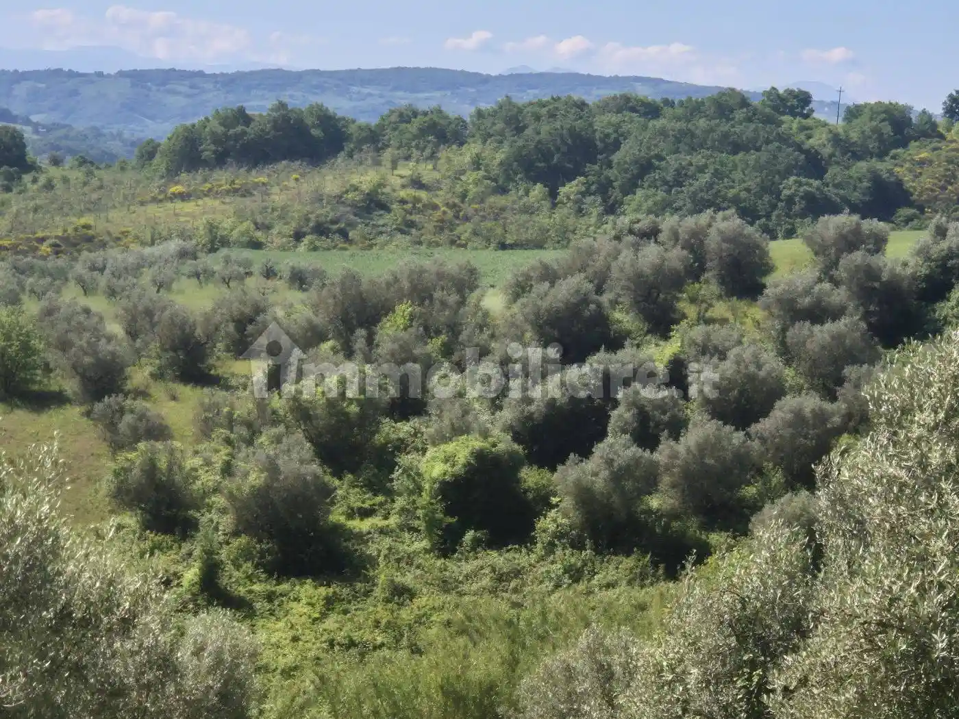 Rustico - Casale in vendita a Fragneto l'Abate