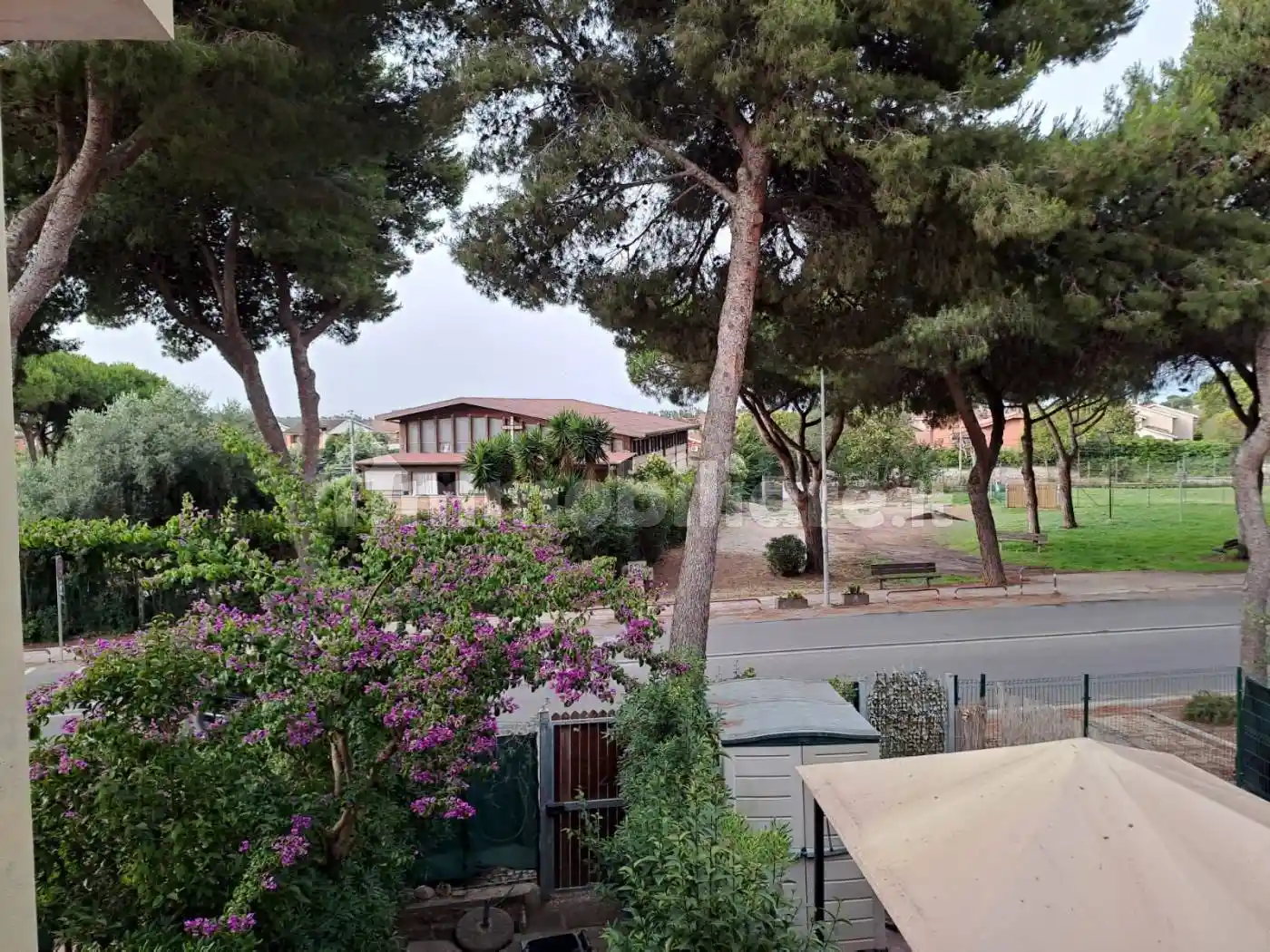 Appartamento in affitto a Ladispoli