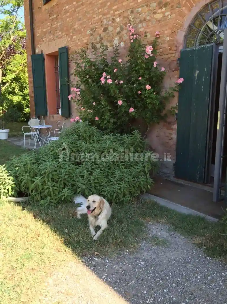 Rustico - Casale in affitto a Casalecchio di Reno