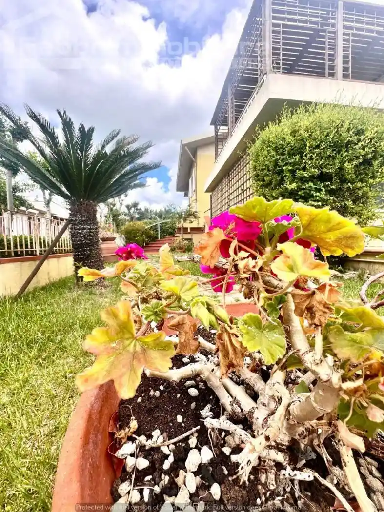 Appartamento in vendita a Follonica