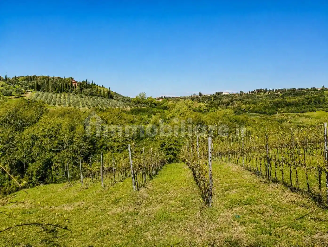 Rustico - Casale in vendita a Montespertoli