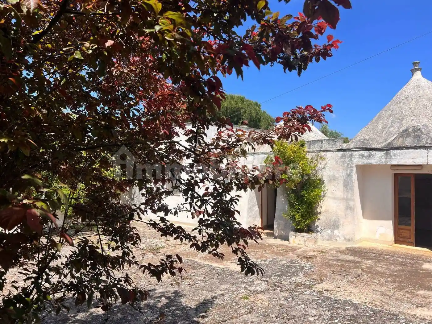 Rustico - Casale in vendita a Monopoli