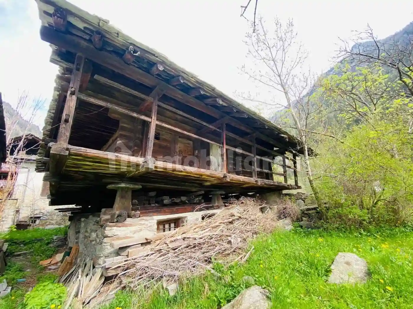 Rustico - Casale - foto 2