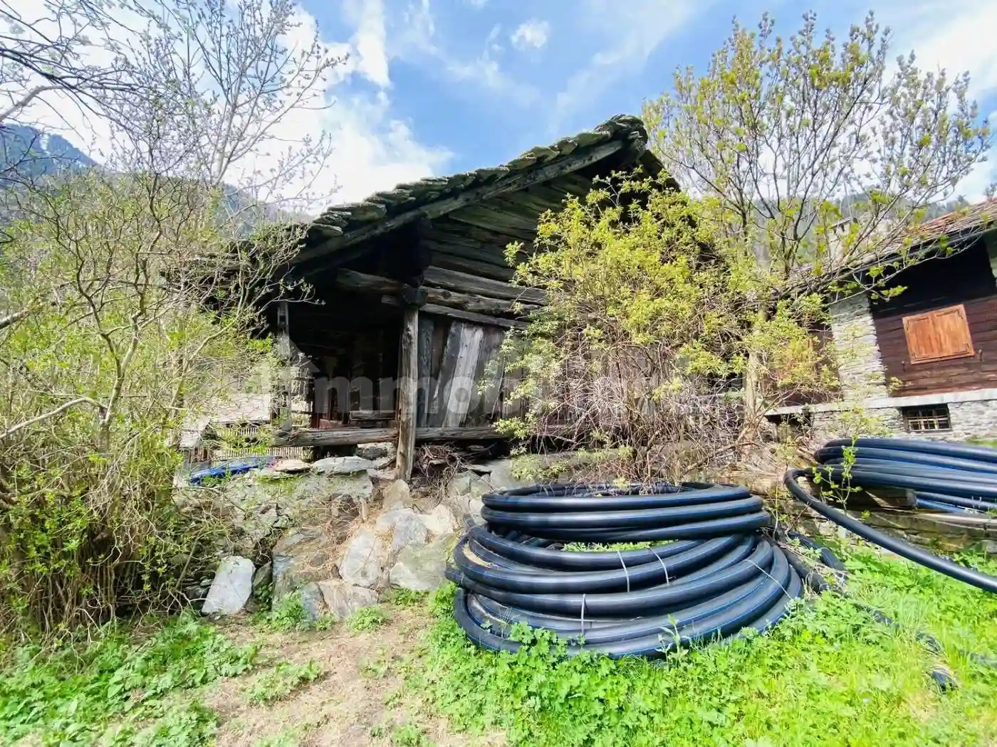 Rustico - Casale - foto 3
