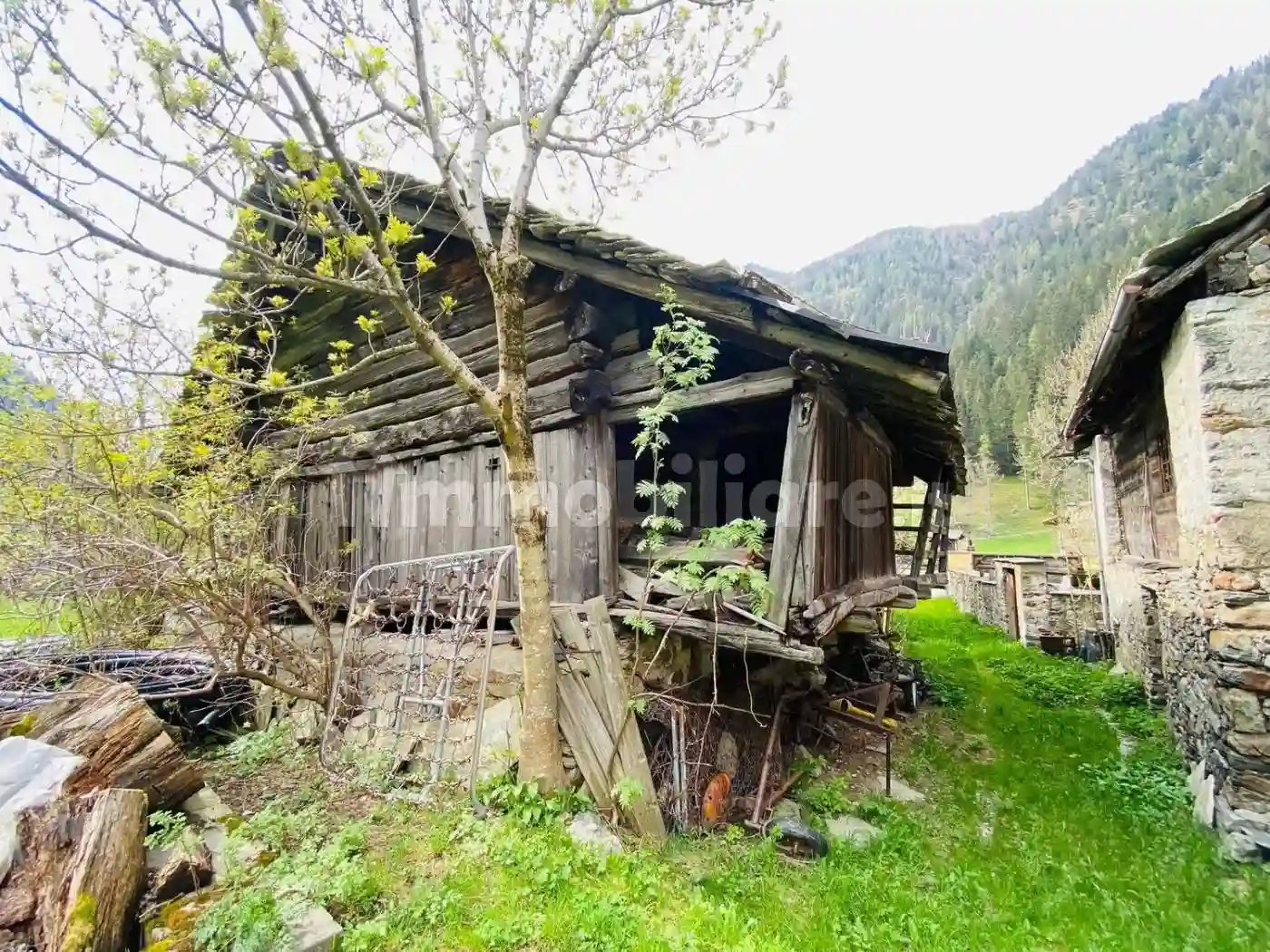 Rustico - Casale - foto 5