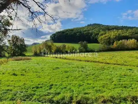 Villa in vendita a Castelfiorentino