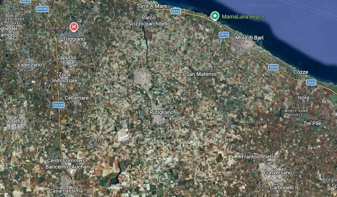 Appartamento in vendita a Rutigliano