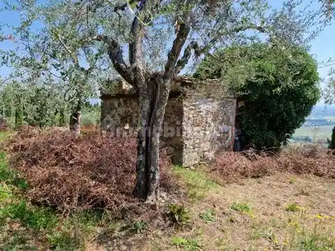 Rustico - Casale in vendita a Capannori