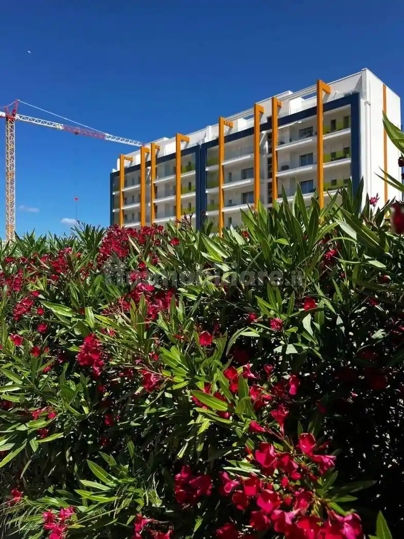Appartamento in vendita a Alghero