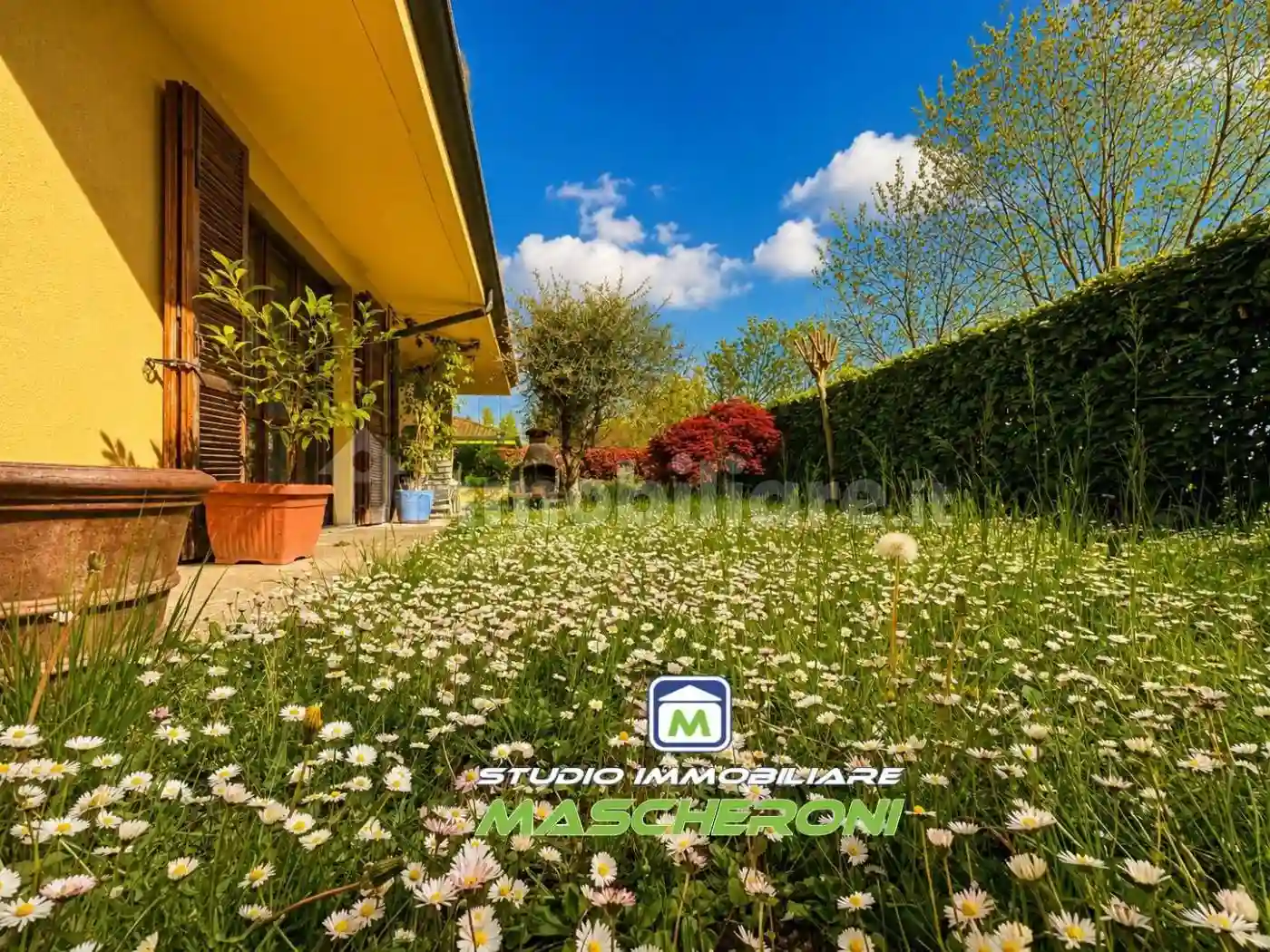 Villa - foto 5