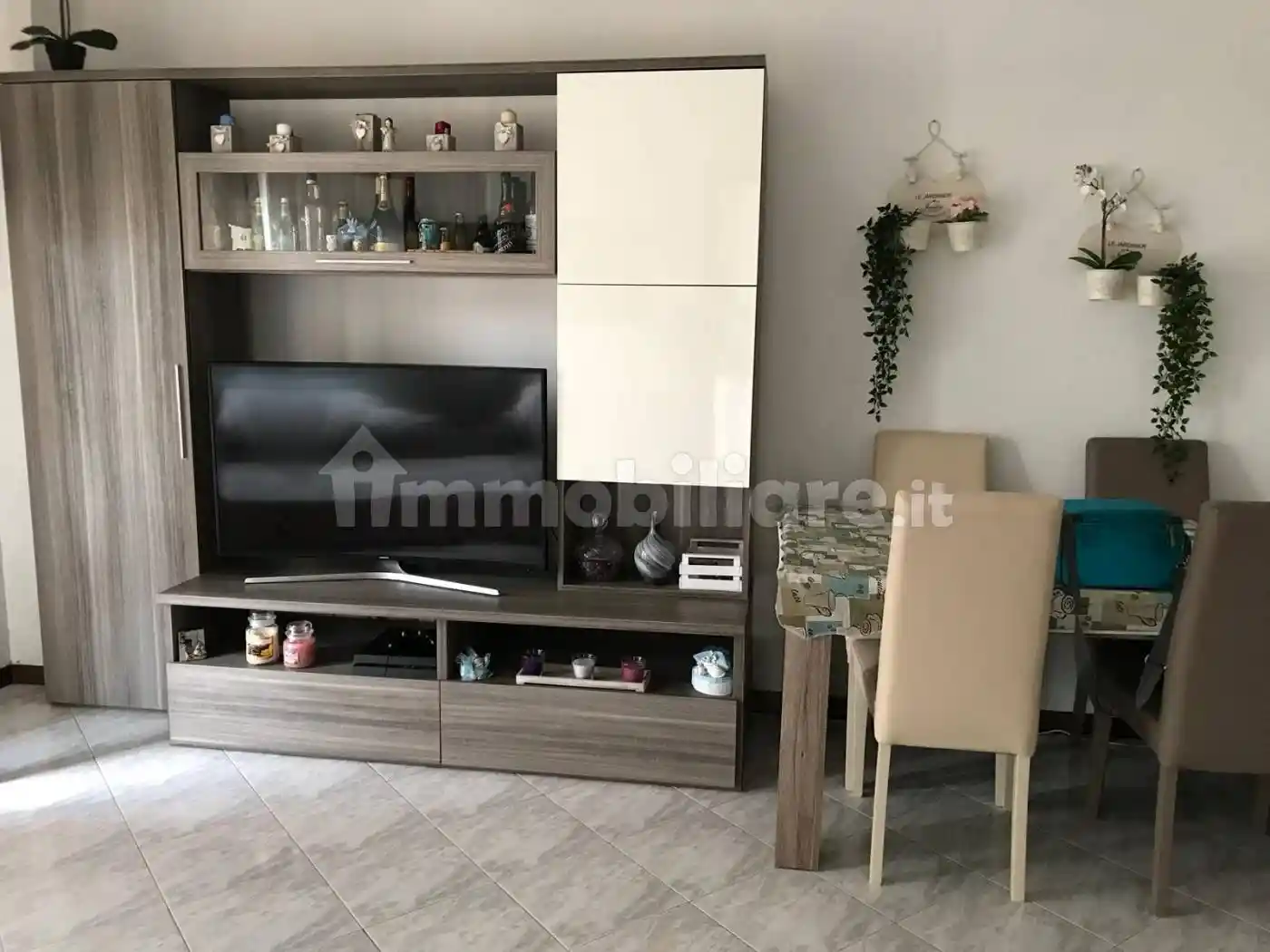 Appartamento in affitto a Frascati