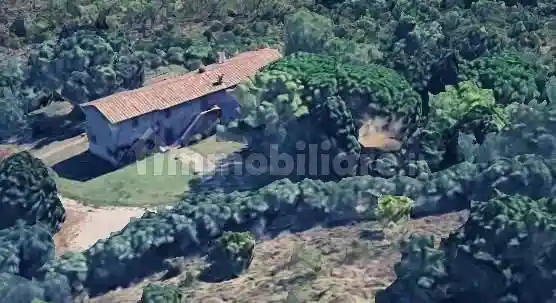 Villa in vendita a Collesalvetti