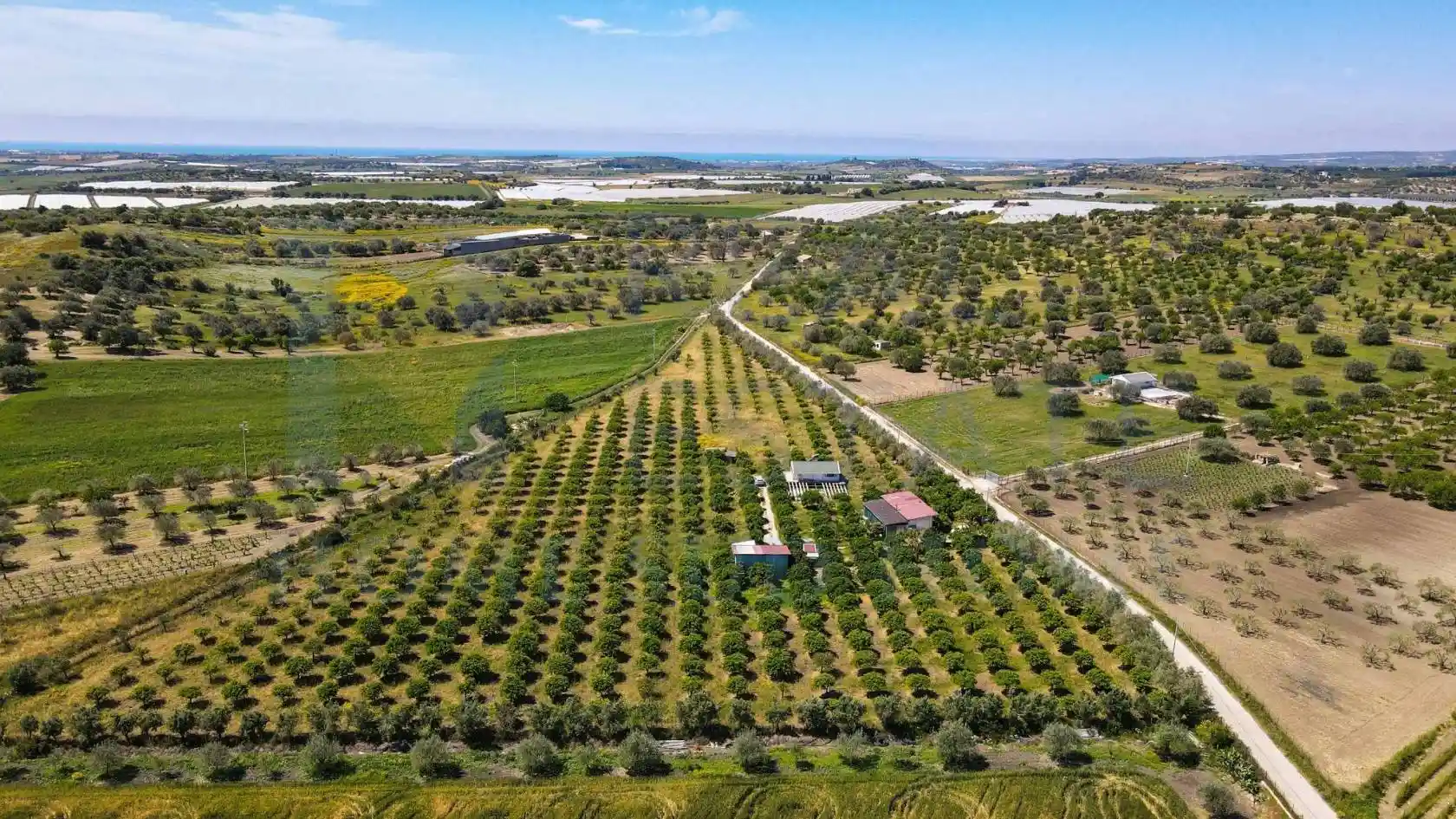 Rustico - Casale in vendita a Noto