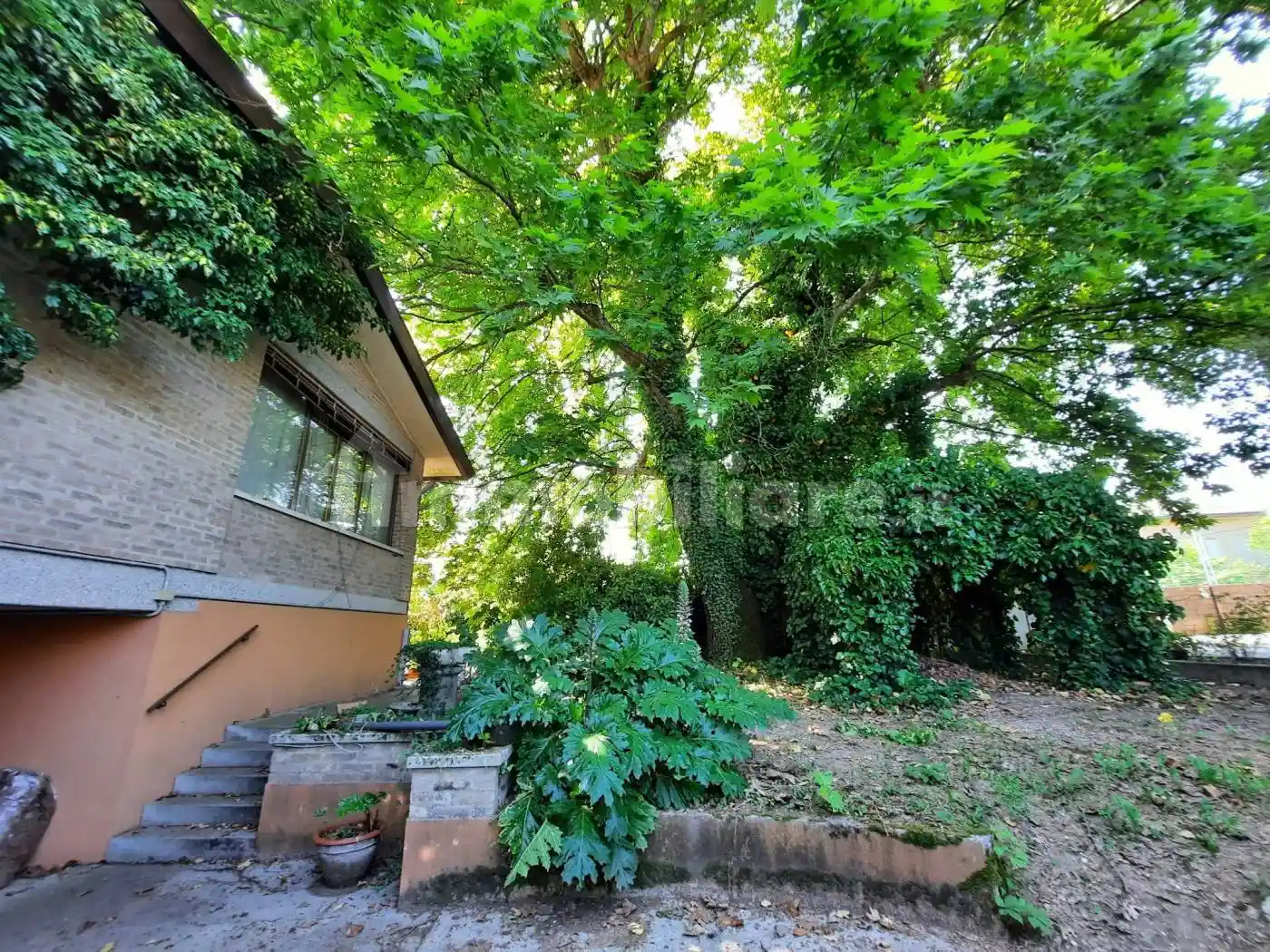 Villa in vendita a Trebaseleghe