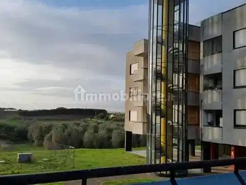 Appartamento in affitto a Montalto di Castro