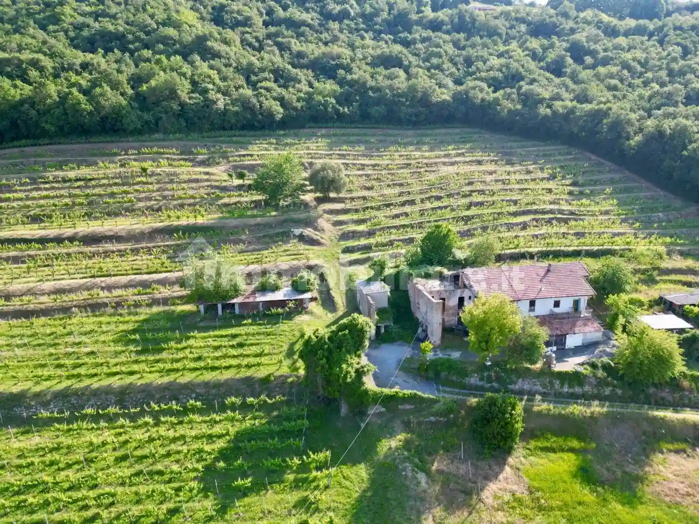 Rustico - Casale - foto 2