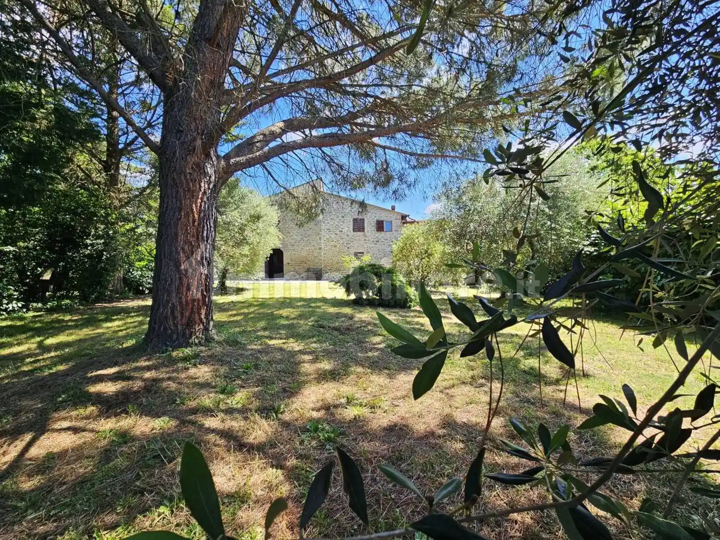 Rustico - Casale in vendita a Castelfranco Piandisco