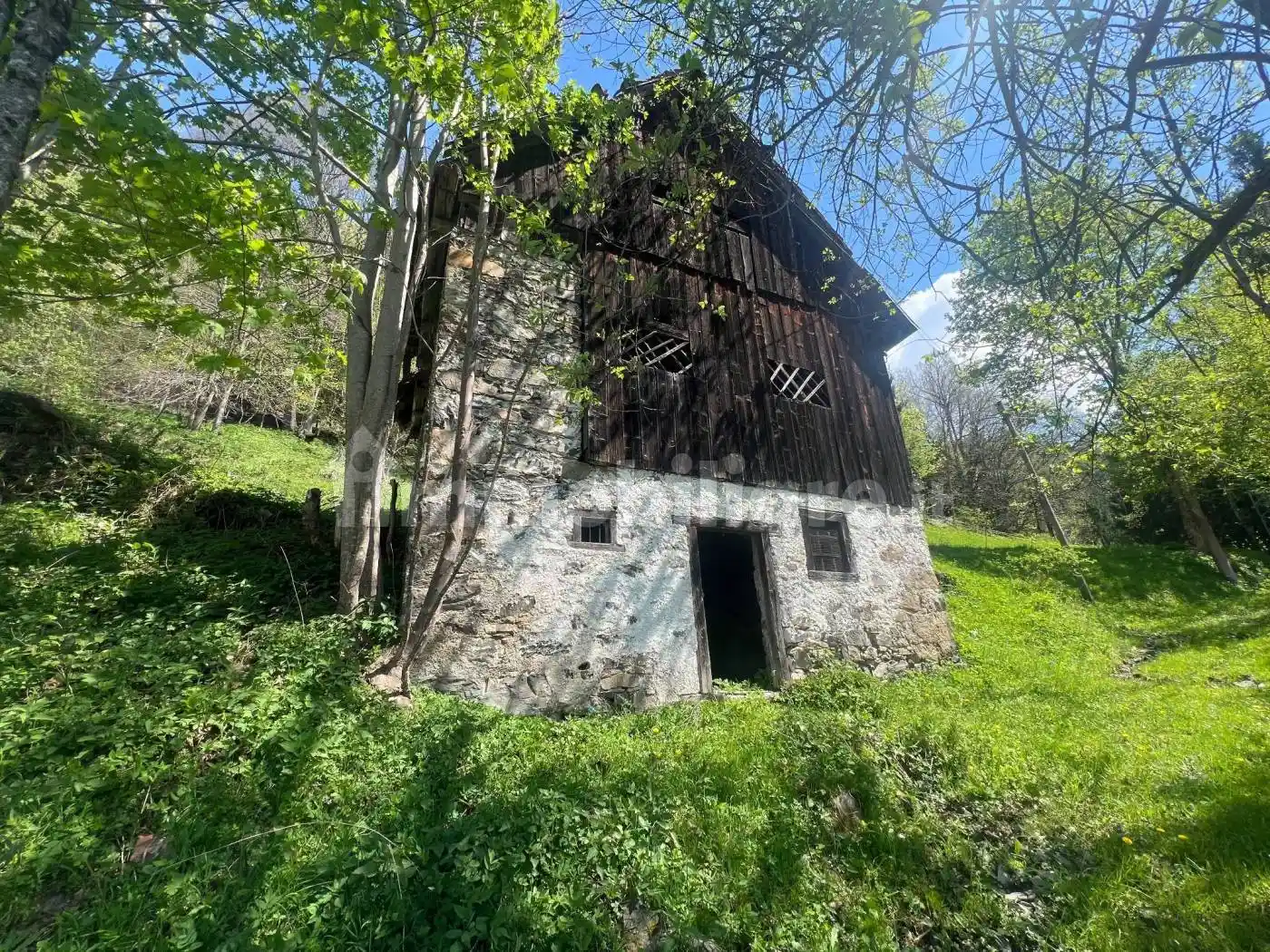 Rustico - Casale in vendita a Rigolato