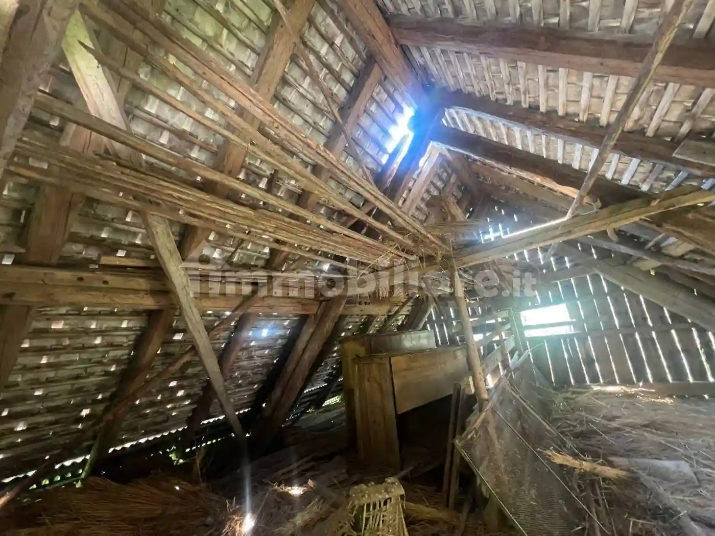 Rustico - Casale - foto 4