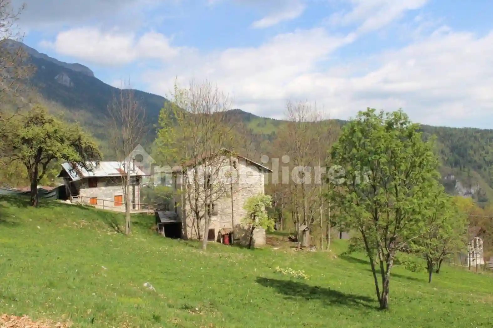 Rustico - Casale - foto 4