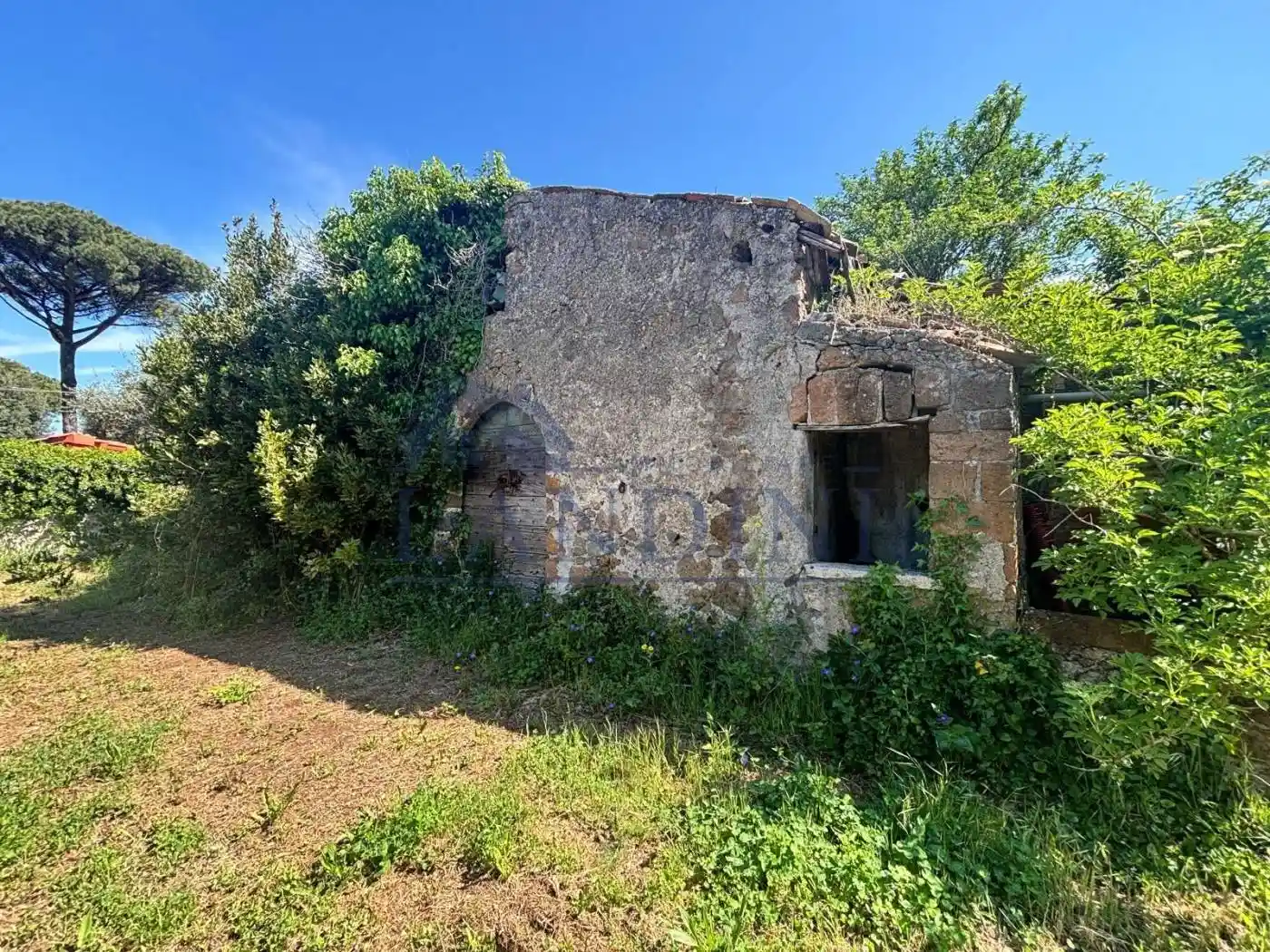 Rustico - Casale in vendita a San Cesareo