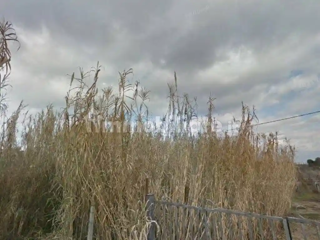 Appartamento in vendita a San Cesareo