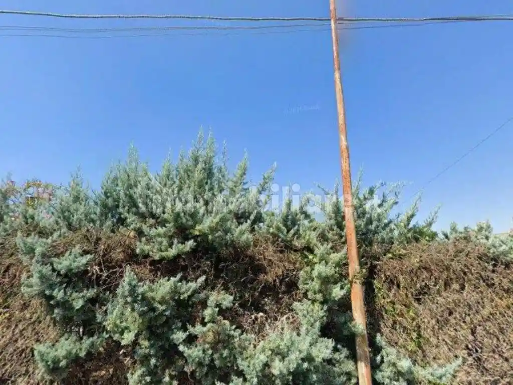 Appartamento in vendita a Anzio