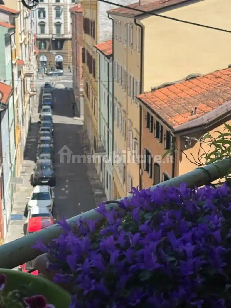 Appartamento in vendita a Trieste