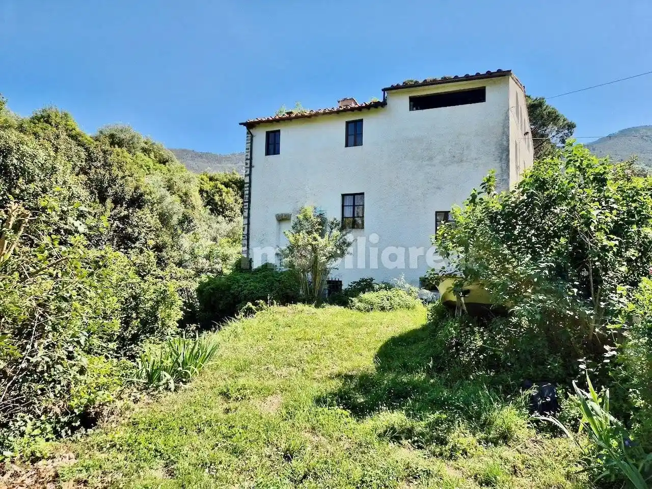 Rustico - Casale in vendita a Calci