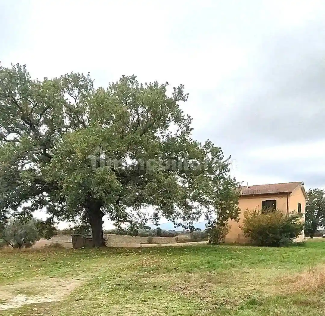 Rustico - Casale in vendita a Pitigliano