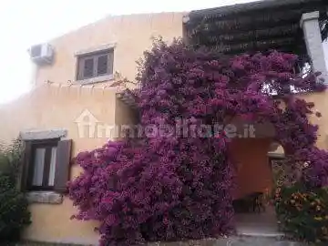 Appartamento in affitto a San Teodoro
