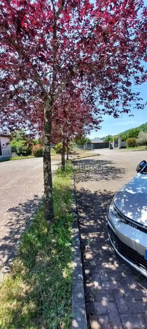 Appartamento in vendita a Licciana Nardi