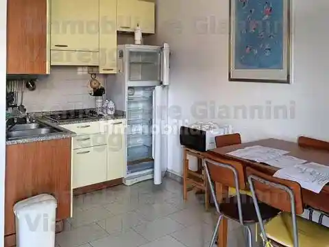 Appartamento in vendita a Viareggio