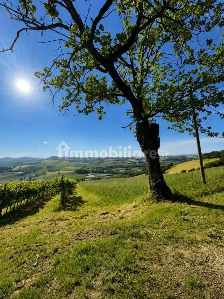 Rustico - Casale in vendita a Castel San Pietro Terme