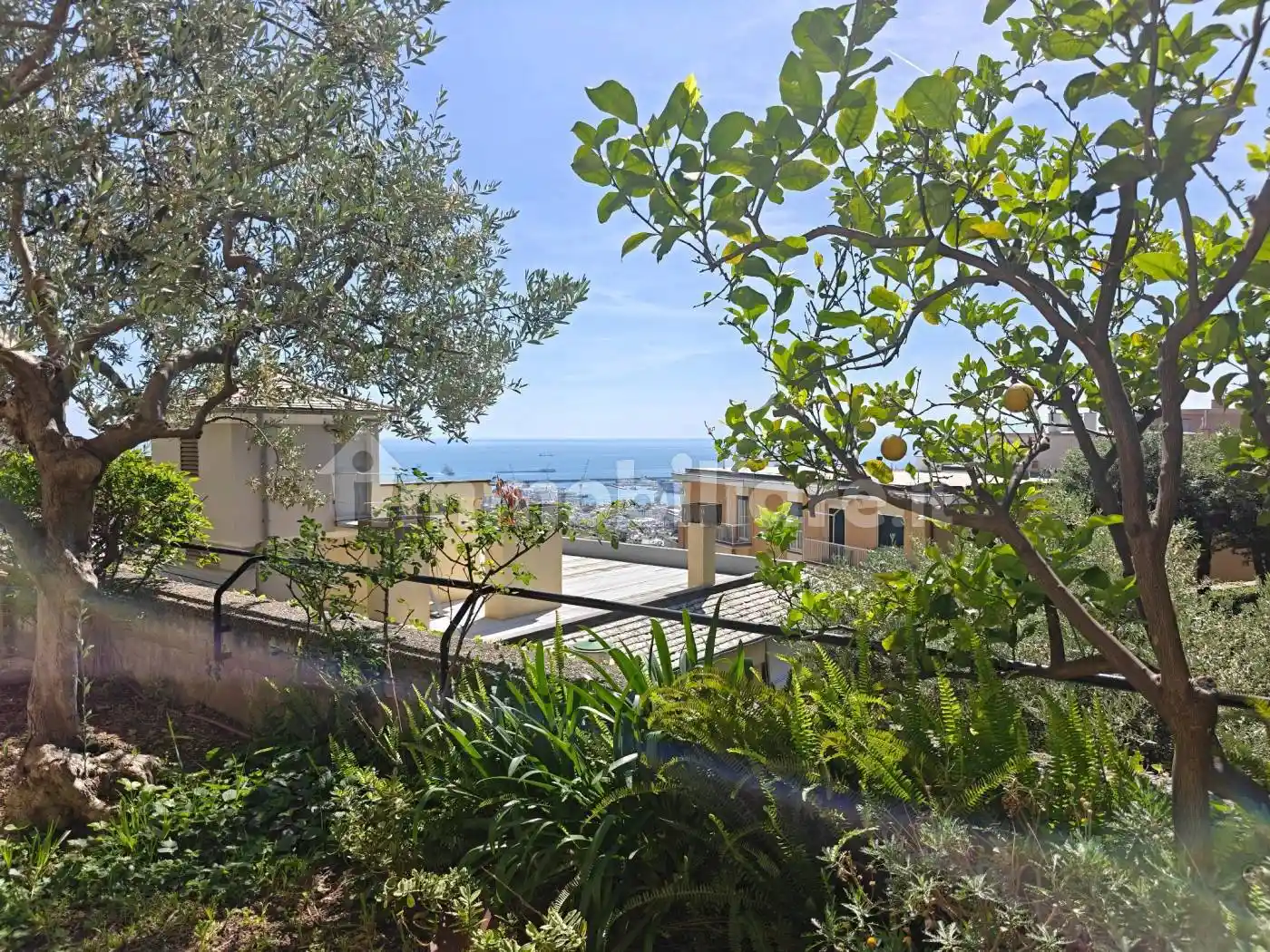Appartamento in affitto a Genova